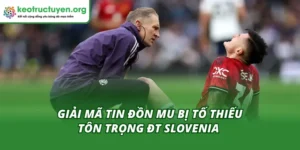Giải Mã Tin Đồn MU Bị Tố Thiếu Tôn Trọng ĐT Slovenia MU Bị Tố Thiếu Tôn Trọng ĐT Slovenia