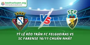 Tỷ Lệ Kèo Trận FC Felgueiras Vs SC Farense 16/11 Chuẩn Nhất Tỷ Lệ Kèo Trận FC Felgueiras Vs SC Farense 16/11