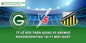 Tỷ Lệ Kèo Trận Goias Vs Gremio Novorizontino 16/11 Mới Nhất Tỷ Lệ Kèo Trận Goias Vs Gremio Novorizontino 16/11